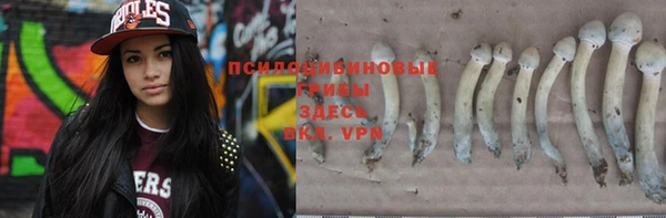 ГАЛЛЮЦИНОГЕННЫЕ ГРИБЫ Козельск