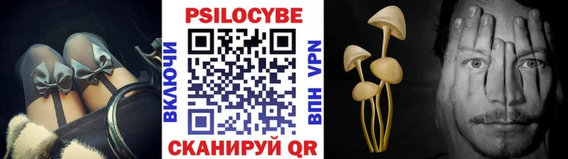 где продают наркотики  Мещовск  Галлюциногенные грибы Psilocybine cubensis 